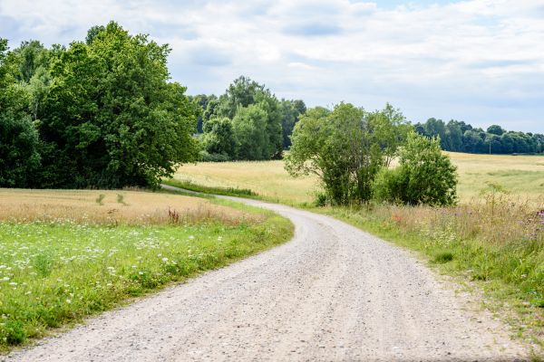 Cost of Stone Driveway Repair in Peyton