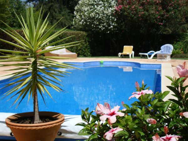 Pool Terrace Renovation in Peyton