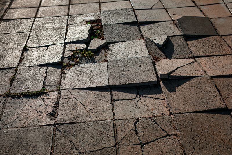 Fall Pavers Repairs